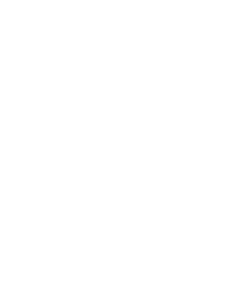 Pessi - digitálne účtovníctvo